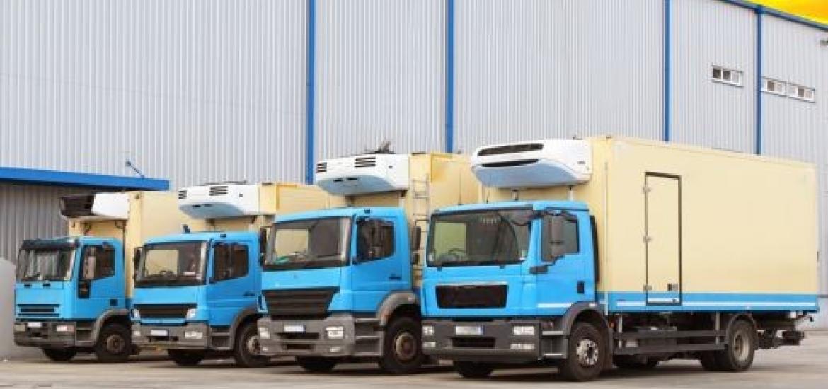 inadequate-reefer-transport-losing-huge-agriculture-produce